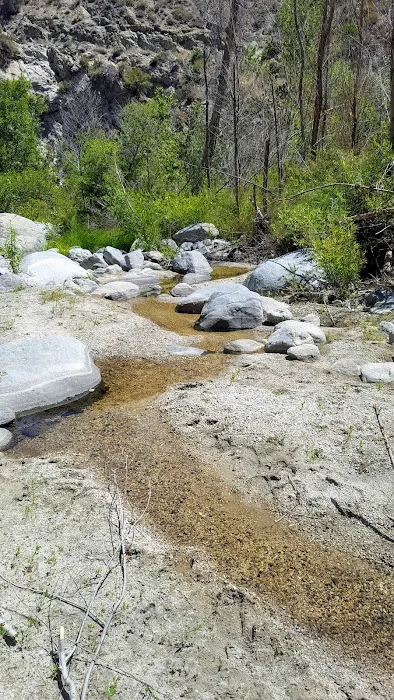 Fall Creek Trail Camp Picture 10