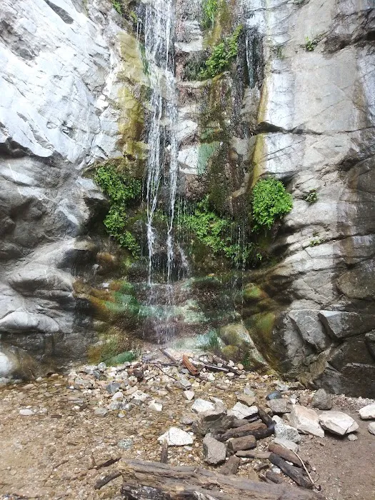 Monte Cristo Campground Picture 4