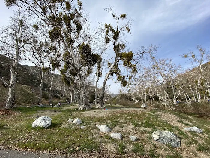 Monte Cristo Campground Picture 8
