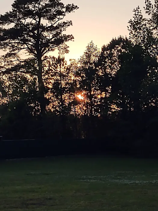 Havelock Mobile Court Picture 3