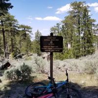 Mt. Pacifico Campground ico
