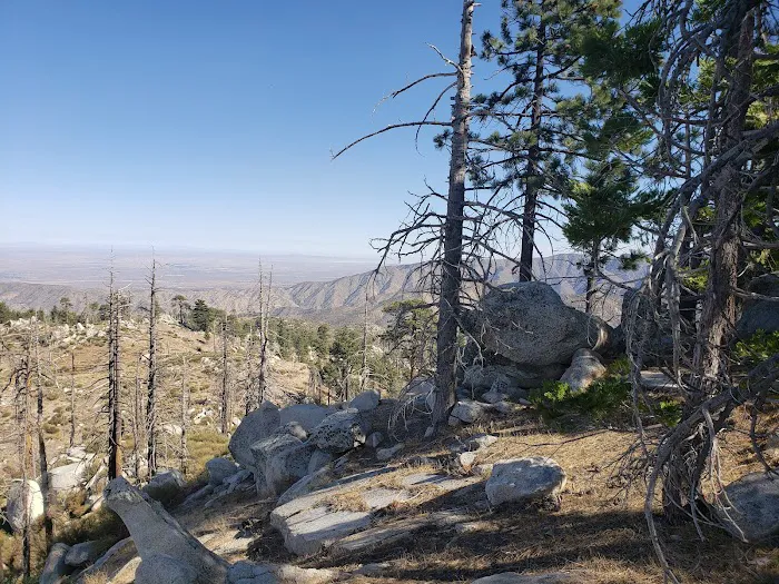 Mt. Pacifico Campground Picture 8
