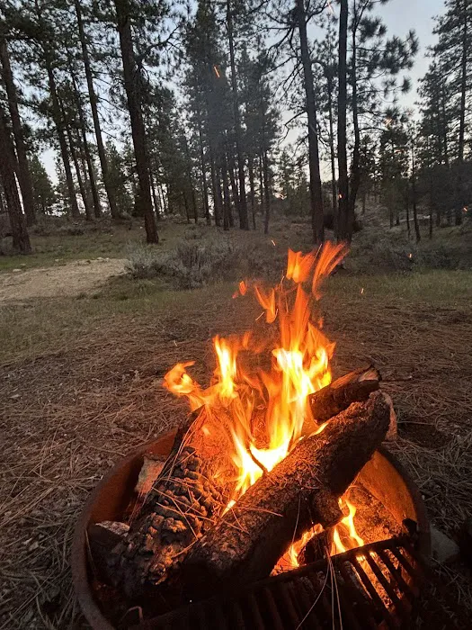 Horse Flats Campground Picture 6