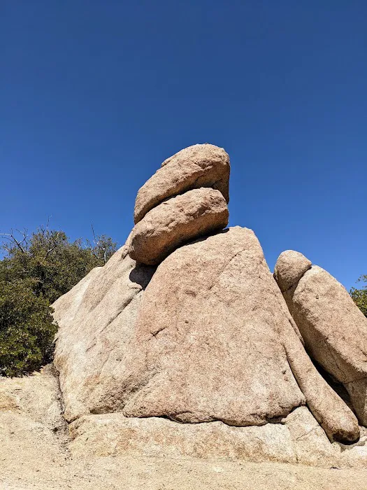 Horse Flats Campground Picture 7