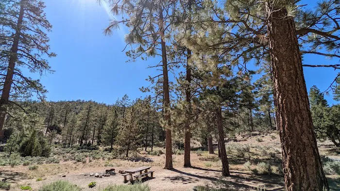 Horse Flats Campground Picture 9