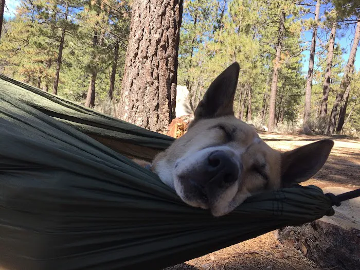 Horse Flats Campground Picture 3