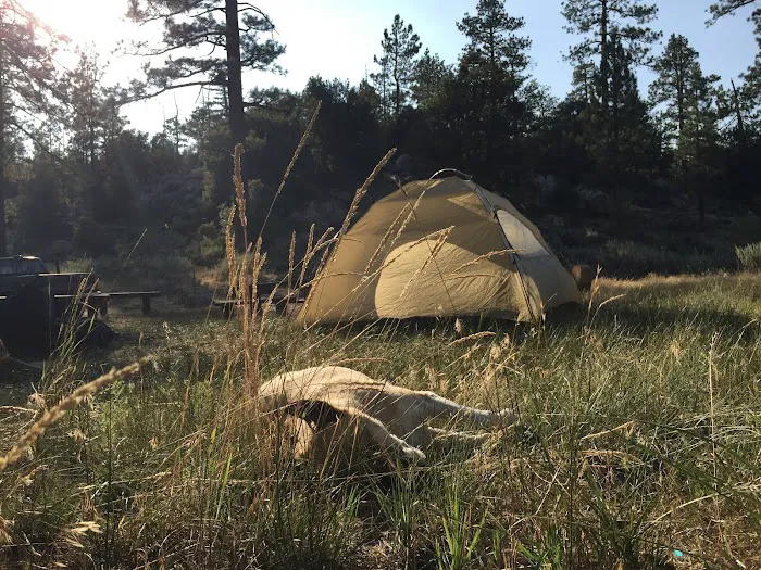 Horse Flats Campground Picture 1