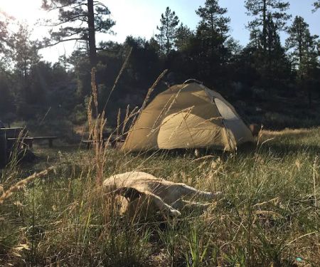 Horse Flats Campground