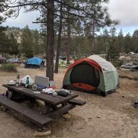 Meadow Group Campground ico