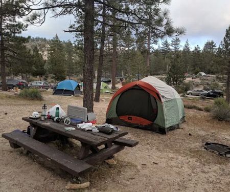 Meadow Group Campground