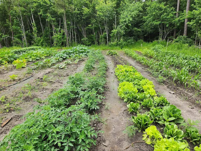 Natures Trace Park Picture 5