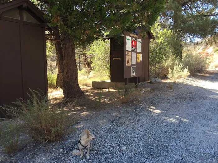 Sulphur Springs Trail Camp Picture 6