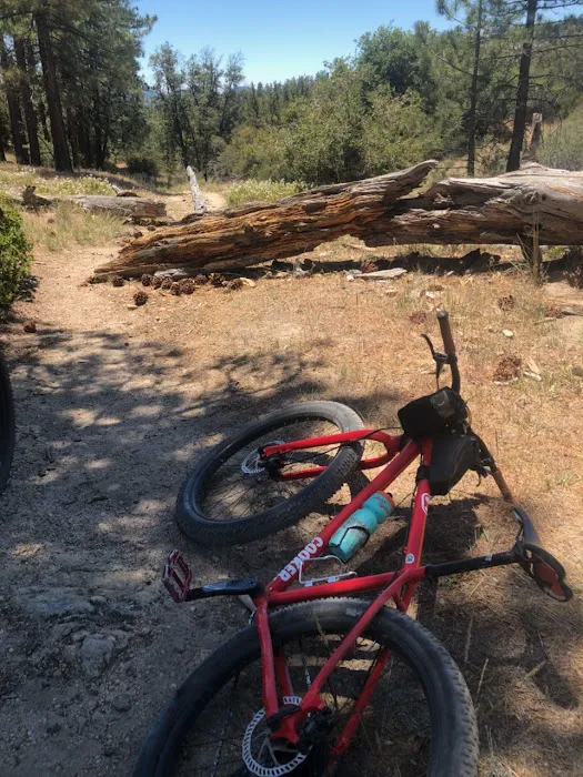 Bandido Group Campground Picture 8