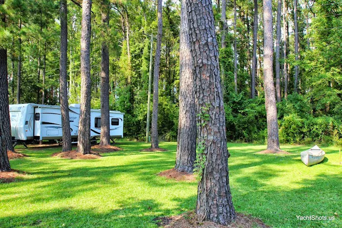 The Oriental RV Park Picture 2