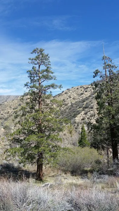 Little Cedars Campground Picture 5
