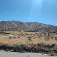 Little Cedars Campground ico