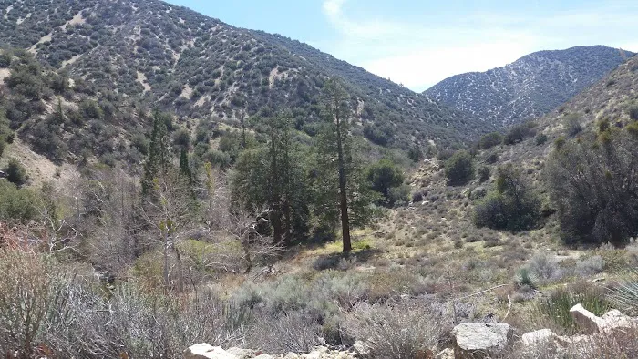 Little Cedars Campground Picture 6