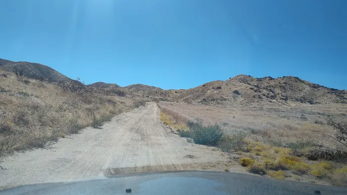 Little Cedars Campground Picture 4