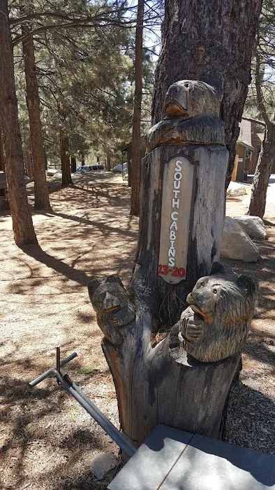 Angeles Crest Christian Camp Picture 1
