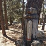 Angeles Crest Christian Camp