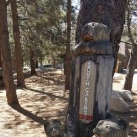 Angeles Crest Christian Camp ico