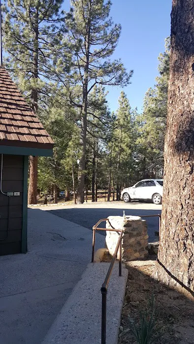Angeles Crest Christian Camp Picture 4