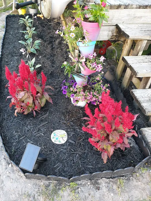 Hill's Mobile Homes & Apartments Picture 4