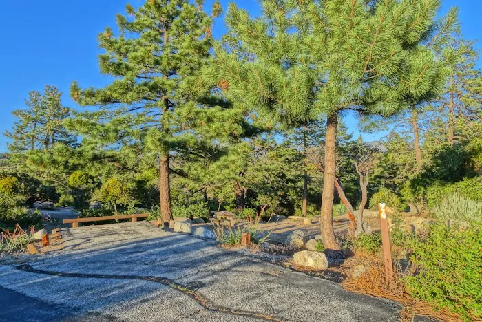 Coulter Group Campground Picture 10