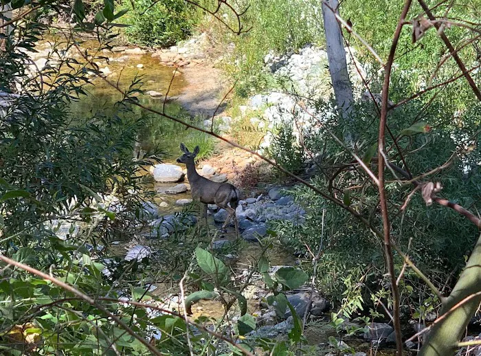 Oakwilde Campground Picture 2