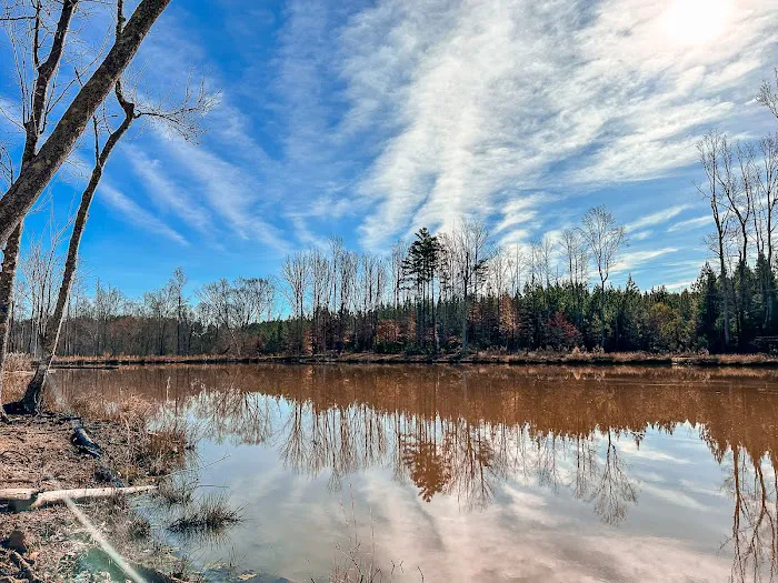 Veterans RV Resort Picture 5