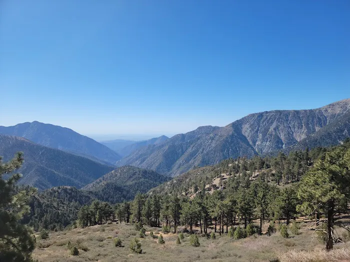 Blue Ridge Campground Picture 2