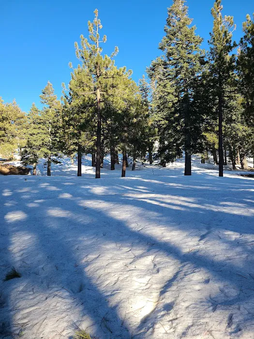 Blue Ridge Campground Picture 3