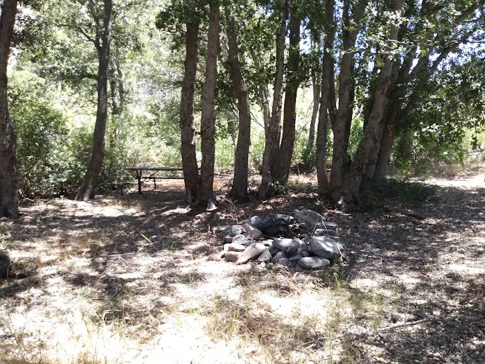 Cabin Flat Trail Camp Picture 2