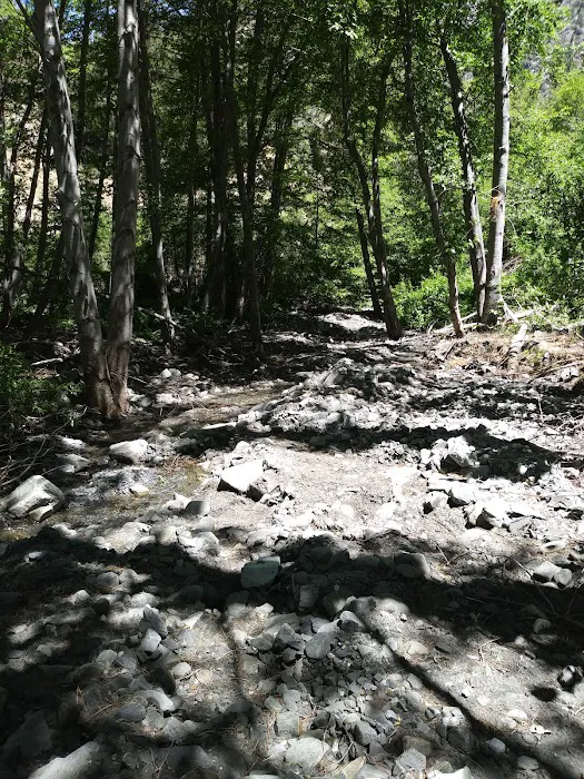 Cabin Flat Trail Camp Picture 6