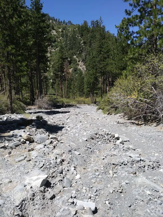 Cabin Flat Trail Camp Picture 4