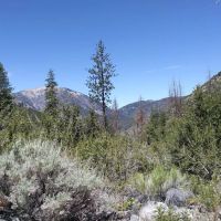Cabin Flat Trail Camp ico