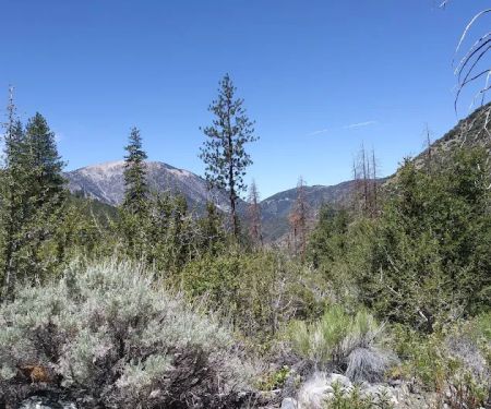 Cabin Flat Trail Camp