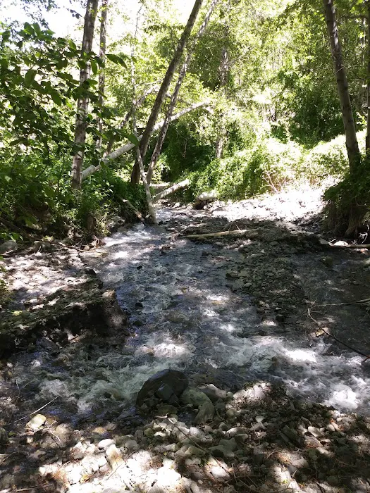Cabin Flat Trail Camp Picture 3