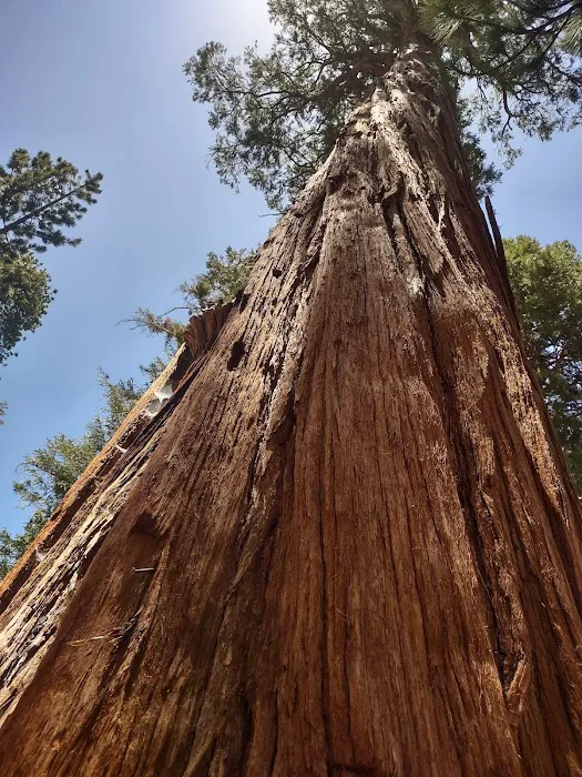 Buckhorn Campground Picture 1