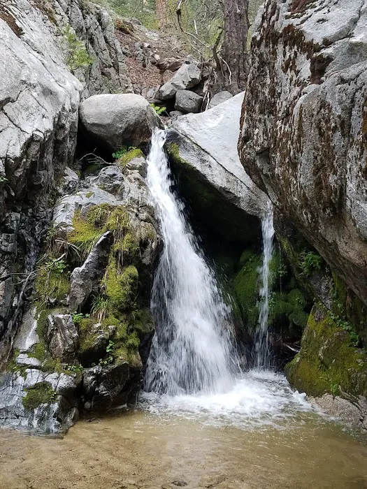 Buckhorn Campground Picture 8