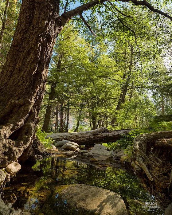 Buckhorn Campground Picture 5