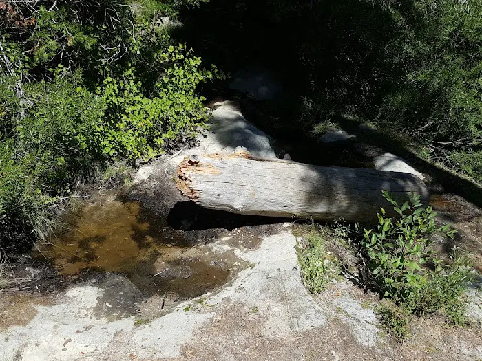 Buckhorn Campground Picture 9