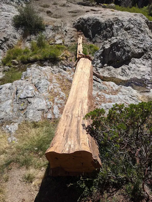 Buckhorn Campground Picture 10