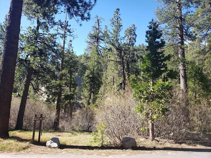 Buckhorn Campground Picture 3