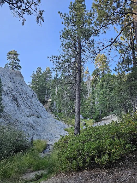 Buckhorn Campground Picture 2