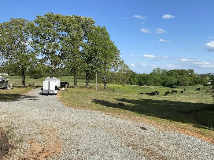 South Fork Ranch RV Park Picture 4