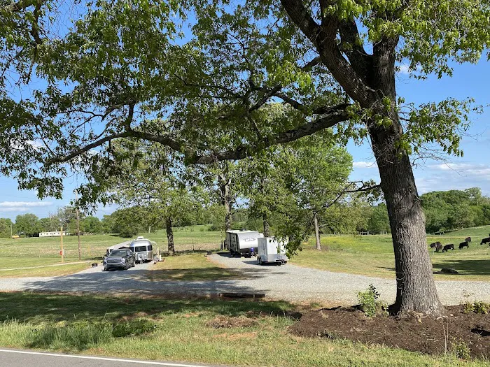 South Fork Ranch RV Park Picture 9