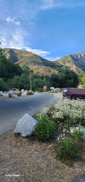Coldbrook Campground Picture 9