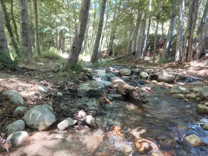 Coldbrook Campground Picture 8