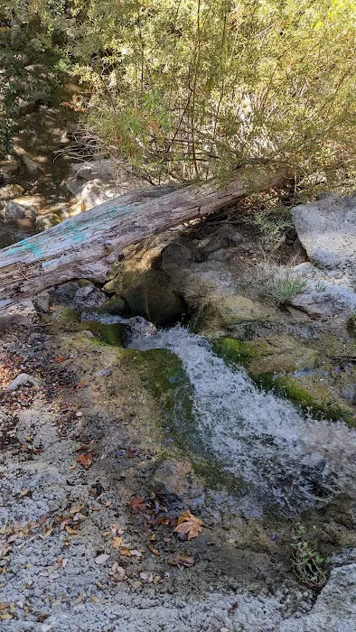 Coldbrook Campground Picture 5